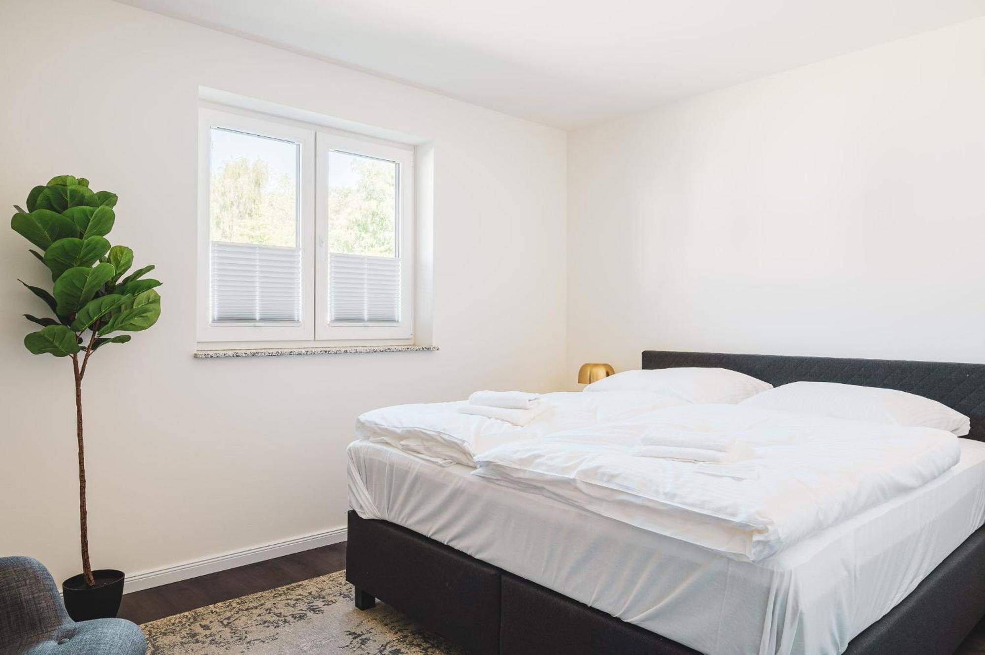 Duenenquartier Apartment 16 Zingst Bagian luar foto
